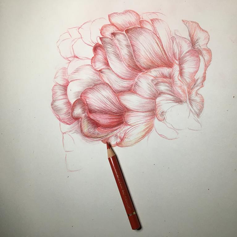crayon de couleur sur papier couché, 40x40 cm, 2020