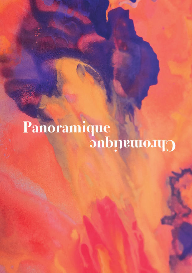 Affiche de l'exposition Panoramique Chromatique