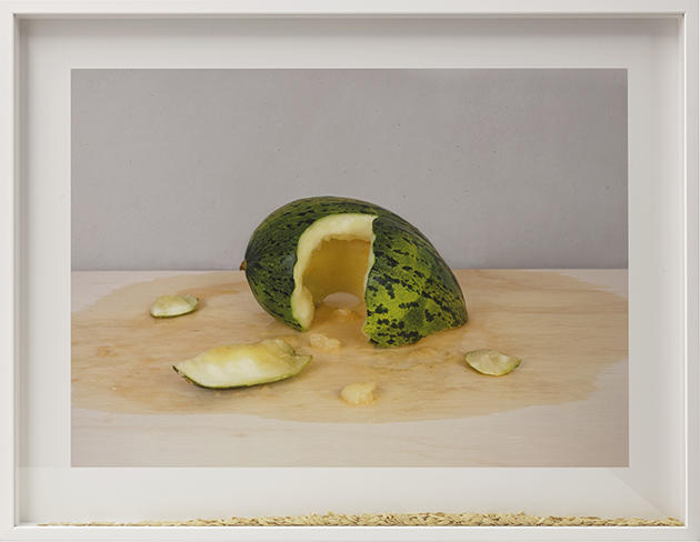 Pablo Lobato, Muda (Melão, #3), 2015, Impression minérale sur papier coton, graines de melon, 51 x 67 cm