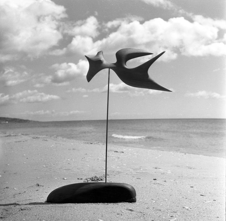 Agnès Varda, Sculpture de Valentine Schlegel photographiée par Agnès Varda en 1958 sur la plage de Sète