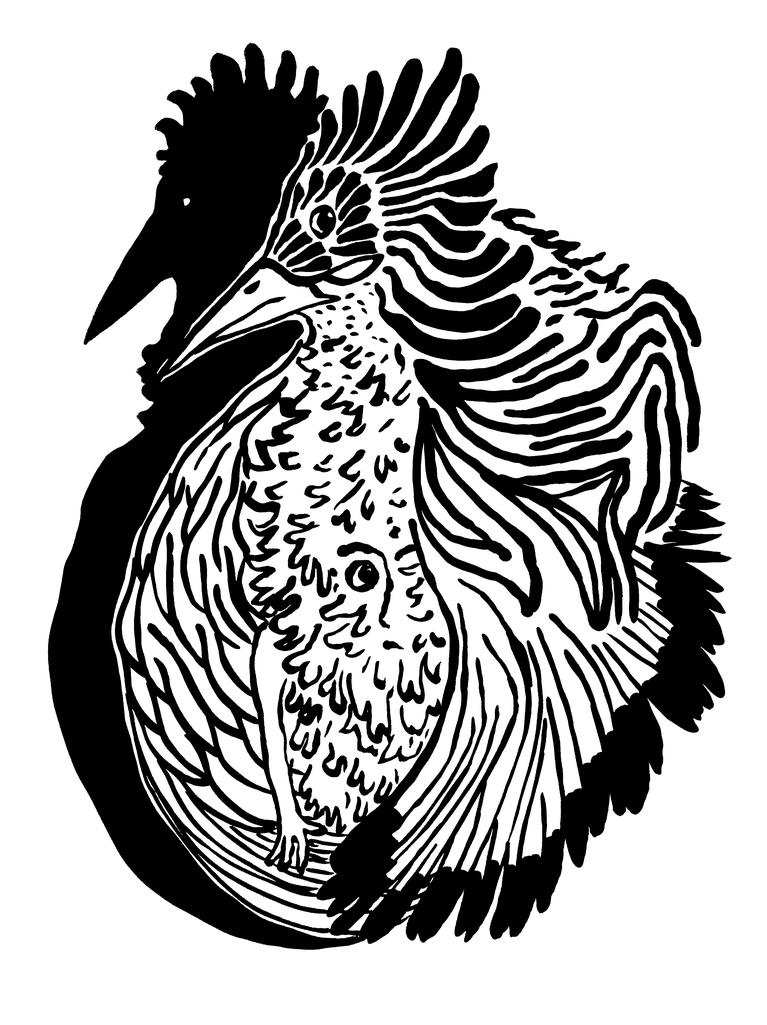 Dessin d'un oiseau bulbul, stylisé, avec son ombre. Dans le plumage de l'oiseau on peut apercevoir l'oeil, le début du nez et le bras d'un personnage.