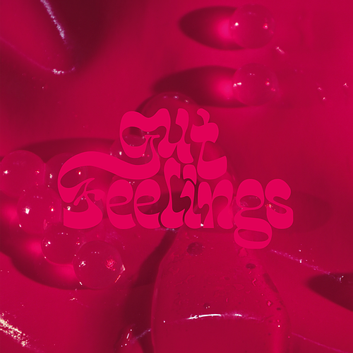 Gut Feelings — Melodies and Aromas de Louise Siffert paru en mai 2021