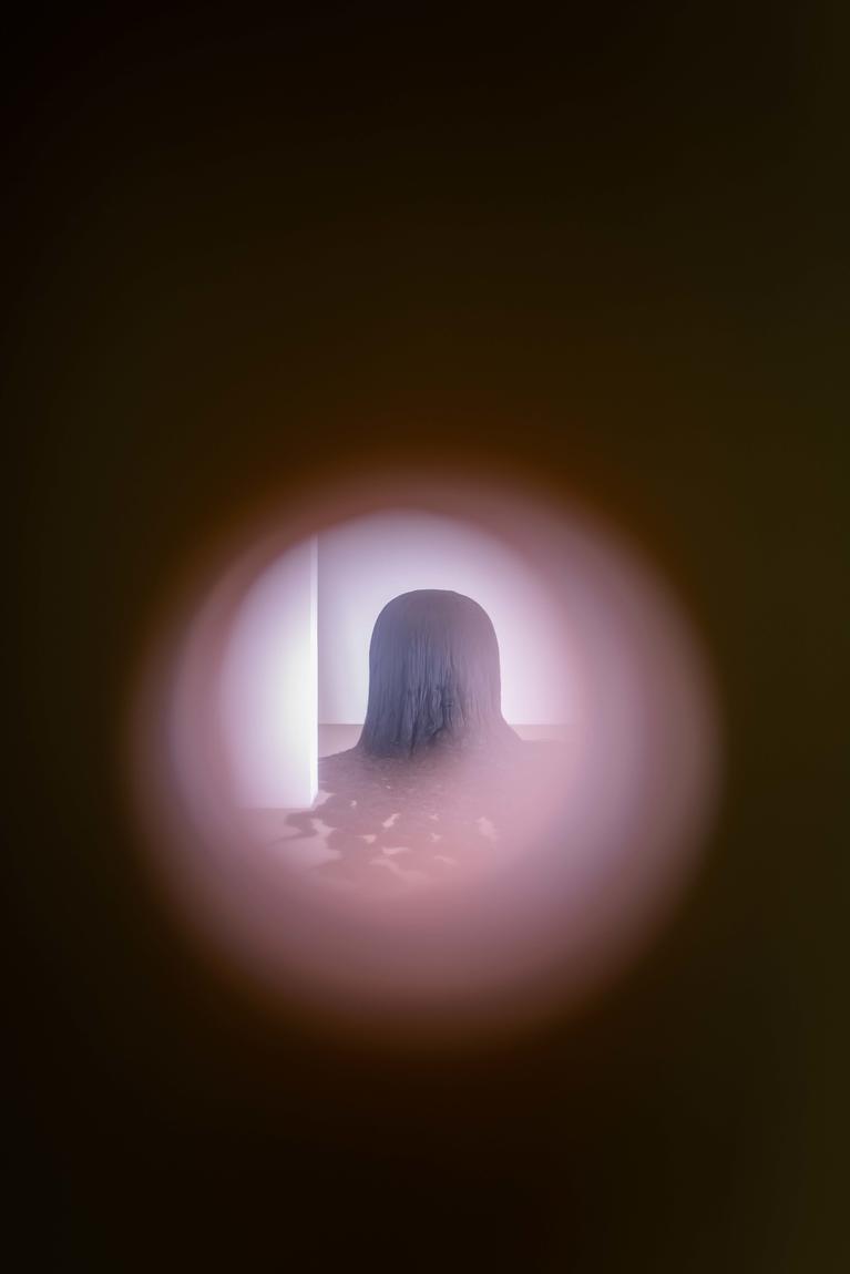 Dominique Gonzalez-Foerster, la chambre humaine & la planète close, vue d’exposition Galerie Chantal Crousel, Paris (2021). Photo : Martin Argyroglo.