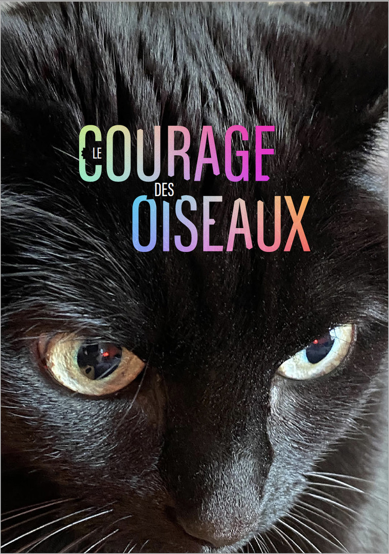 Le courage des oiseaux titre exposition coloré fond chat noir