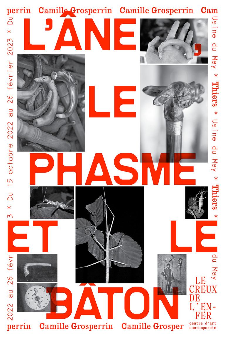 Affiche de l'exposition "L'âne, le phasme et le bâton" de Camille Grosperrin
