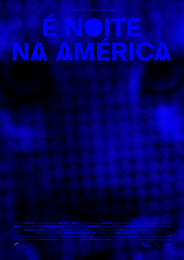 Affiche du film d’Ana Vaz, Il fait nuit en Amérique, 2022