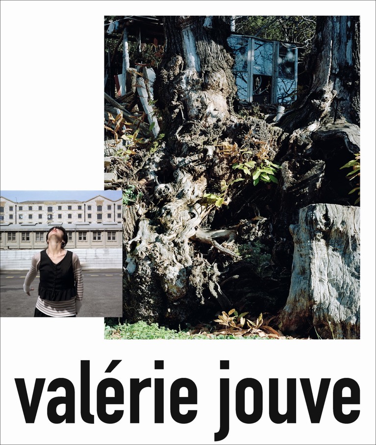 Couverture de la monographie de Valérie Jouve
