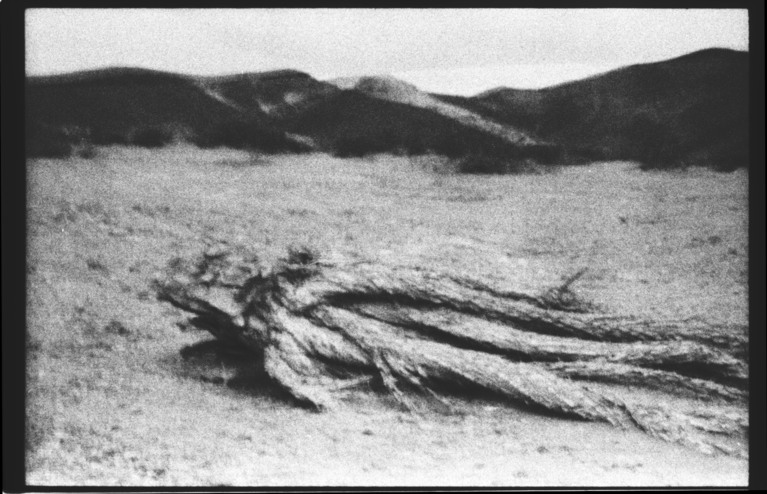 Bani Khoshnoudi, Image de l’installation en 16mm film, El Chinero, un cerro fantasma, 2022