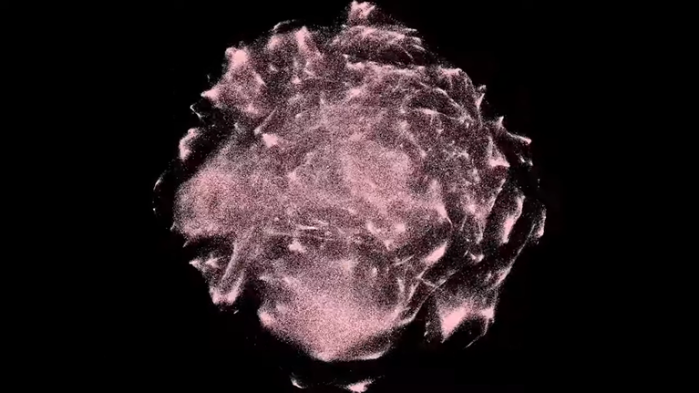 forme rose généré par logiciel informatique - aperçu de la vidéo DEMOCRATOPIA de Lina Dovydenaite