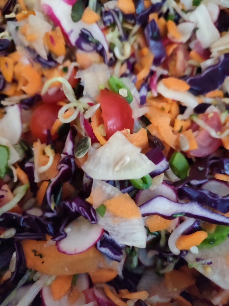 photo en gros plan d'une salade, on y distingue du chous rouge, des carottes, des tomates, et d'autres légumes moins facilement identifiables