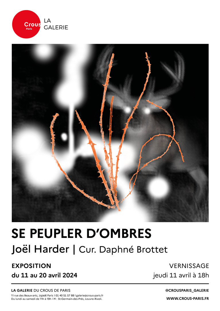 Affiche Joël Harder - Se Peupler D'ombres