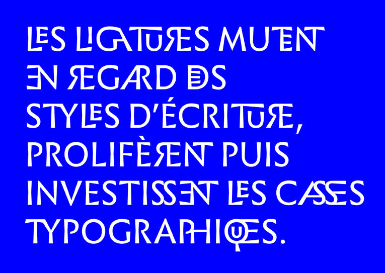 Vue du caractère typographique Infini de Sandrine Nugue