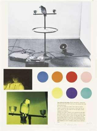 Dennis Oppenheim, Color Application for Chandra, 1971
